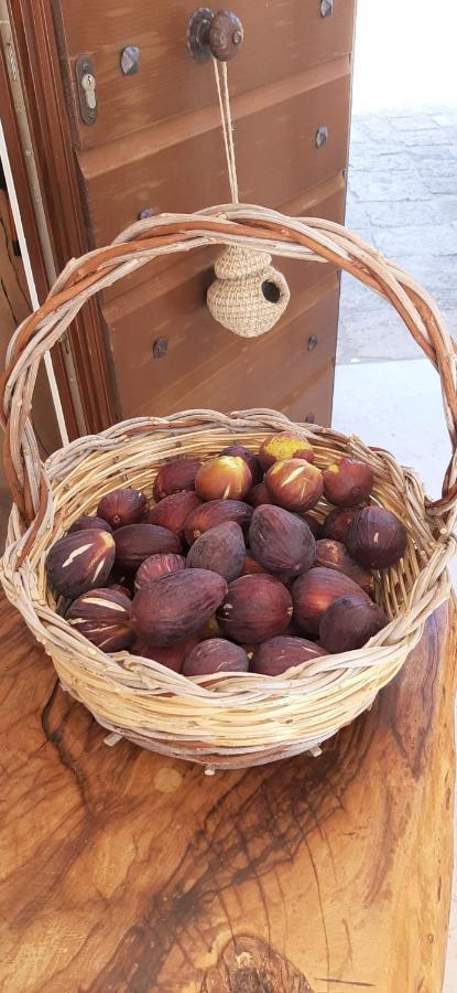 Antica Masseria Ficazzana - Tenuta Marina Di Pescoluse Ngoại thất bức ảnh