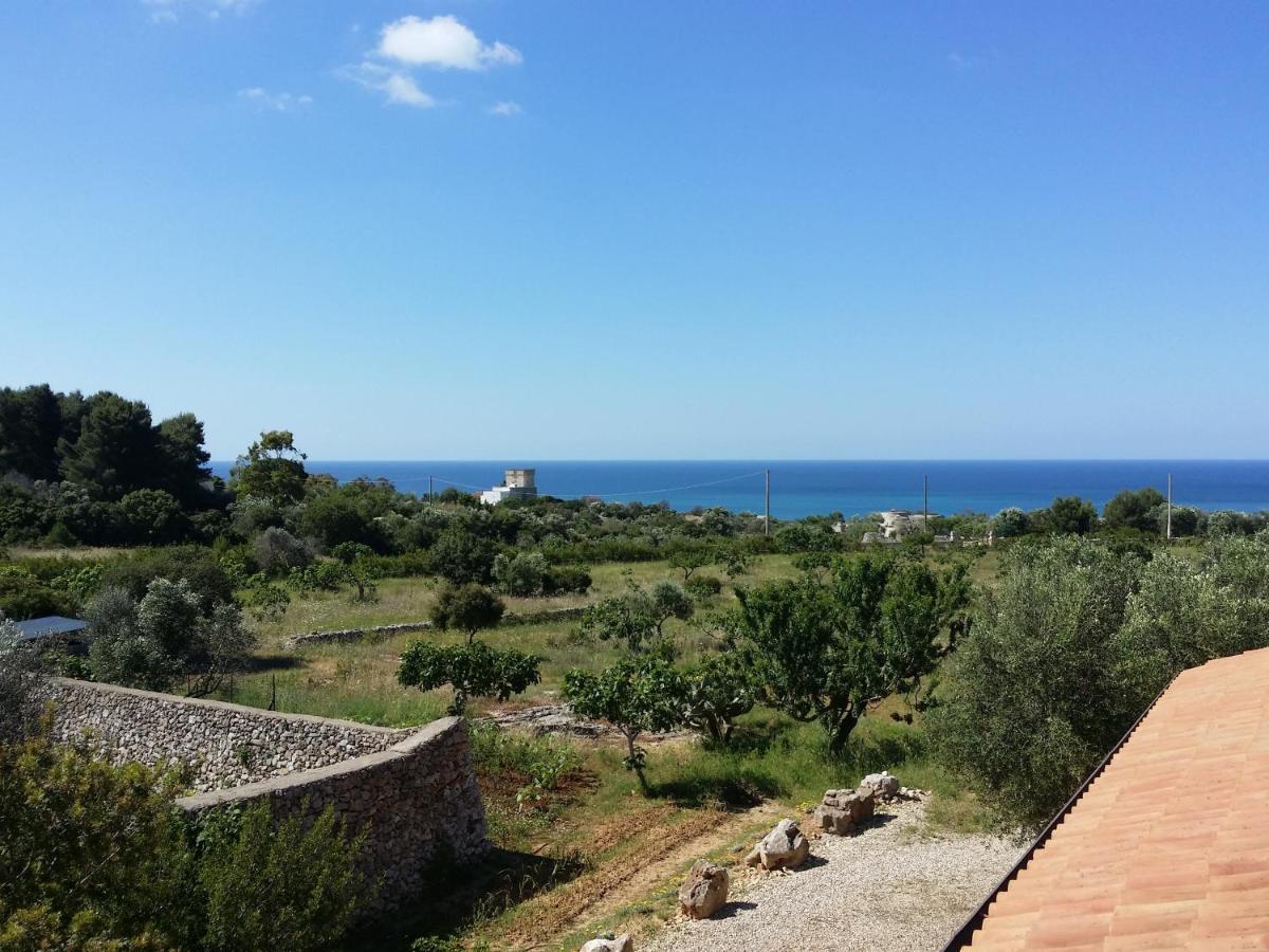 Antica Masseria Ficazzana - Tenuta Marina Di Pescoluse Ngoại thất bức ảnh